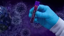 CSIR To Start Clinical Trials Of Colchicine On Covid Patients
