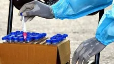 India Adds 36,401 Fresh Covid Cases, 530 Deaths In 24 Hrs