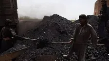India Moving Away From Coal Slowly, Considerable Progress By States: Study