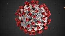 Global Covid-19 Caseload Tops 155.6 Million, Deaths Exceed 3.25 Million