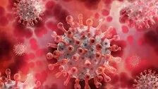 Study Claims Covid-19 Not Natural, But Result Of Wuhan Lab-Leak