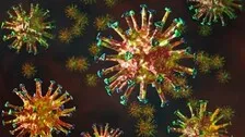 India's Coronavirus Variant Spread To 44 Countries: WHO