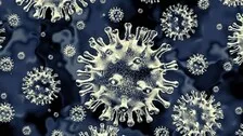 Uncontrolled Diabetes Major Cause Of Black Fungus: Experts