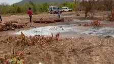 'Admin Apathy': Dogs Feast On Half-Burnt Bodies Of Covid-19 Victims In Bolangir