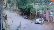 Retired Banker In Bhubaneswar Held For Getting Kittens Killed By Stray Dogs