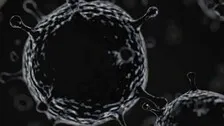 Govt To Import 3,63,000 Vials Of Black Fungus Medicine Amphotericin-B