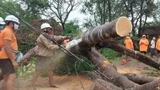 Cyclone Yaas: Updates From Affected Regions In Odisha