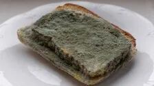 Black Fungus Infection: Keep A Watch On Your Bread, Know The Protection Tips