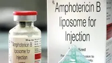 Mucormycosis Treatment: Govt Allocates Additional Vials Of Amphotericin-B To States, UTs