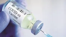 Covid-19 Vaccines Likely Induce Strong, Persistent Immunity: Study