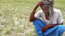 Sharecroppers Of Odisha - Children Of A Lesser God