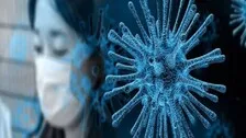 Covid-19 Infection Significantly Changes Our Blood Cells: Study
