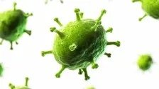 Covid Recovery Doesn't Guarantee Antibodies, Immunity To Re-Infection