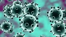 Delta Variant Spreading Worldwide At Scorching Pace: WHO Chief