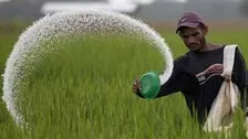 Fertiliser Scam Case: Several NRIs, Foreign Firms Being Probed