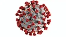 COVID-19 Virus Leaked From China's Wuhan Lab: US Republican Report