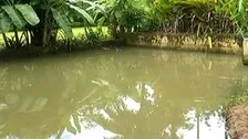 Girl’s Body Found In Bhubaneswar Farmhouse: Diatom, Viscera Of Deceased Sent For Tests