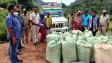 26 Arrested In Odisha In One Of The Biggest Ever Drug Bust, 2100 KG Ganja Seized