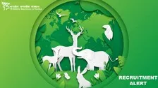 Wildlife Institute Of India Recruitment: Apply For Multiple Vacancies, Check Salary & Other Details