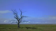 Global Action To Combat Climate Change Just Not Enough: UN Body