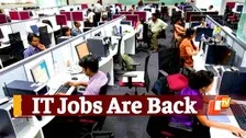 Proof Jobs In IT Sector Are Back, TCS, Infosys, Wipro Big Hirers