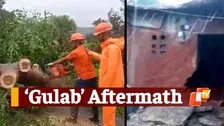 Cyclone Gulab: Impact In Odisha