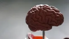 Psychiatric Disorders In Teens Linked To Social Exclusion In Later Life