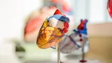 Taking Flu Shot May Cut Heart Disease Risk: Study