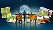 5T Feedbacks Show Odisha Govt Schemes Unable To Wipe Tears Of Farmers