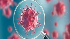 Delta Variant Detected In 99% Samples: Delhi Govt Data