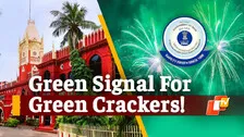 Green Crackers Allowed On Diwali Day, Timings Capped By Orissa High Court