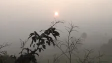 Winter Chill Sets In Odisha, Mercury Drops Below 15 Degree Mark In 6 Cities