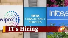 Where Are The Jobs? At Big IT Cos - TCS, Infosys, Wipro & At Big IT Hubs