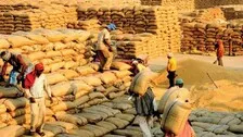 No 'Token' blow, Paddy prices drop Rs 65/q below MSP in Odisha's Sundargarh!