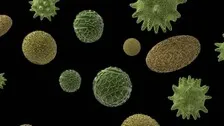 UK Scientists Warn Of 'Miserable Winter' Due To New Respiratory Viruses