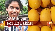 Jharkhand Girl Sells Dozen Mangoes For Rs 1.20 Lakhs, Buys Smartphone For Online Classes