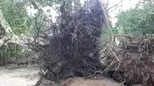 Cyclone ‘Yaas’ Update: Rain, Wind Effect In Keonjhar, Mayurbhanj, Several Places Waterlogged, No Flash Flood Threat In Budhabalanga, Baitarani