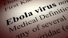 Gene In Monkeys, Mice May Act As Antiviral To Block HIV, Ebola
