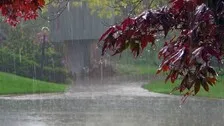 Low Pressure Over Bay of Bengal Persists, Odisha Continues To Receive Rainfall
