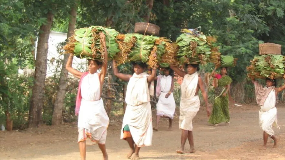 Dongria Kondh in Niyamgiri