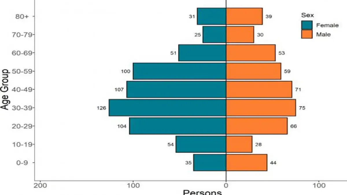 Age-Group Pyramid