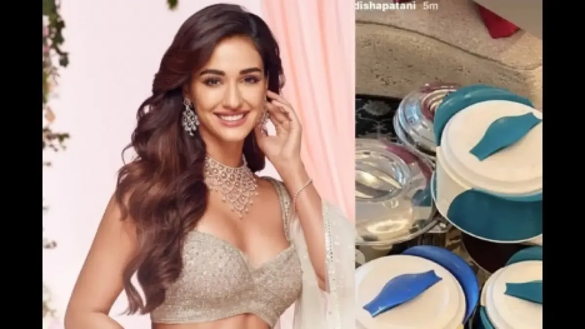 Disha Patani insta story
