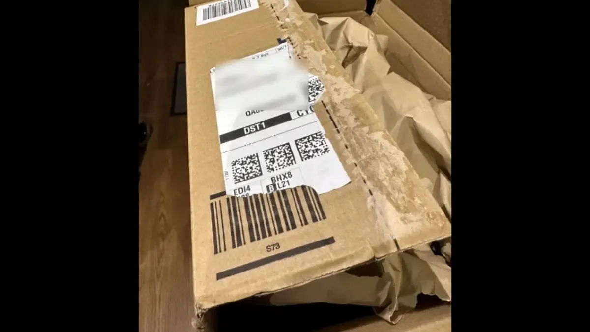 Amazon Package With Dog Food