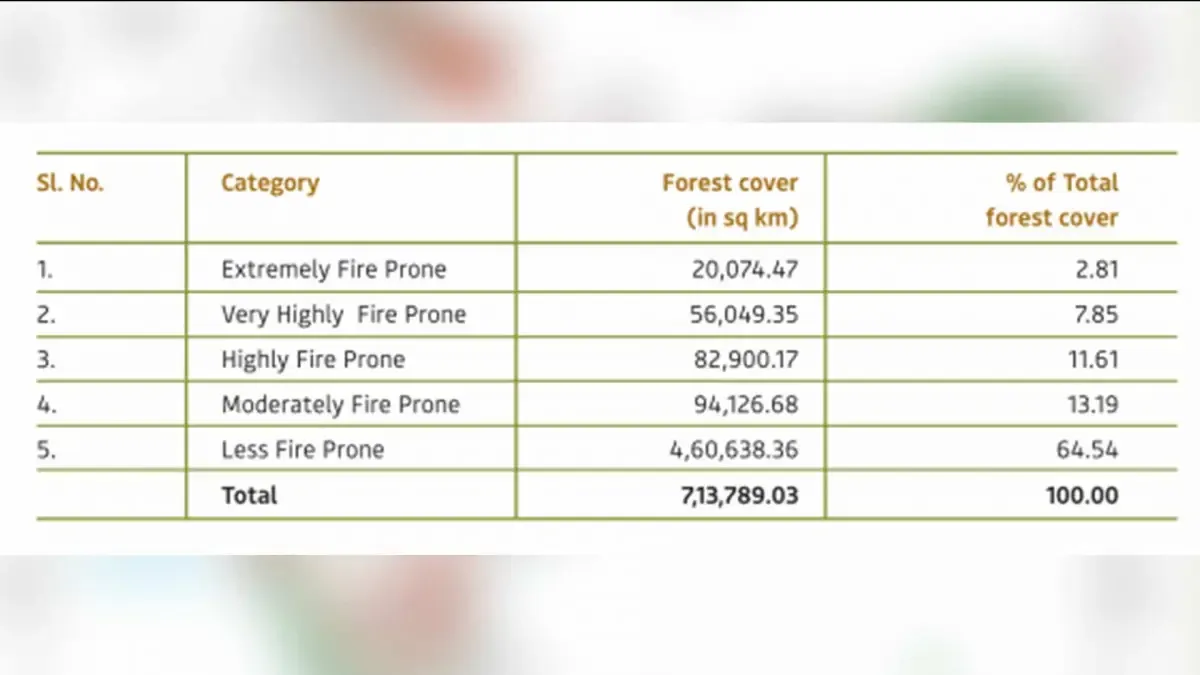 forest fire