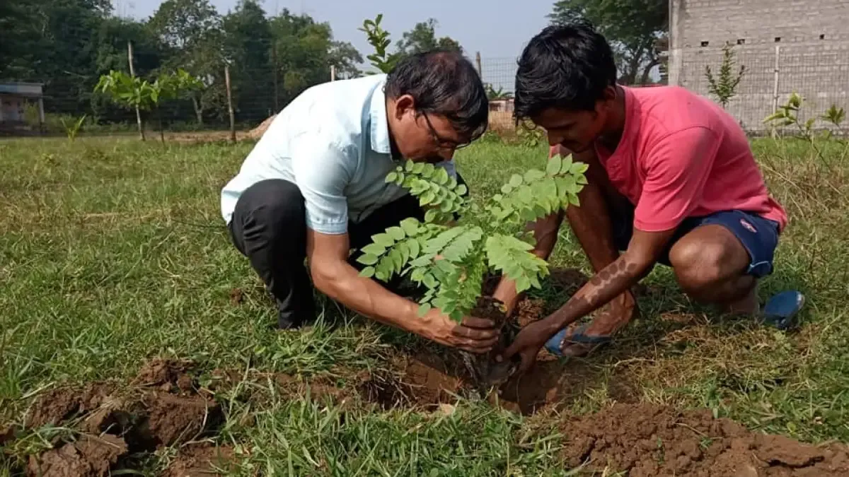 Plantation drive by Bhubaneswari Club