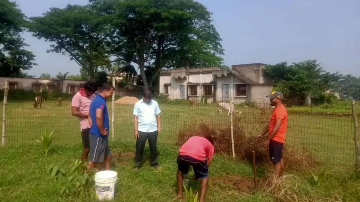 Plantation drive by Bhubaneswari Club