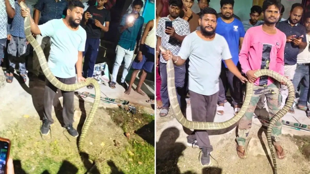 Snake Helpline members with the rescued snake