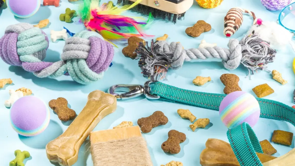 DIY pet toys