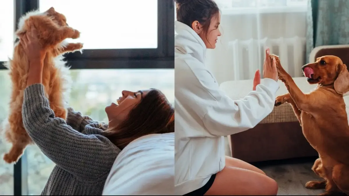 One on one activities with pets