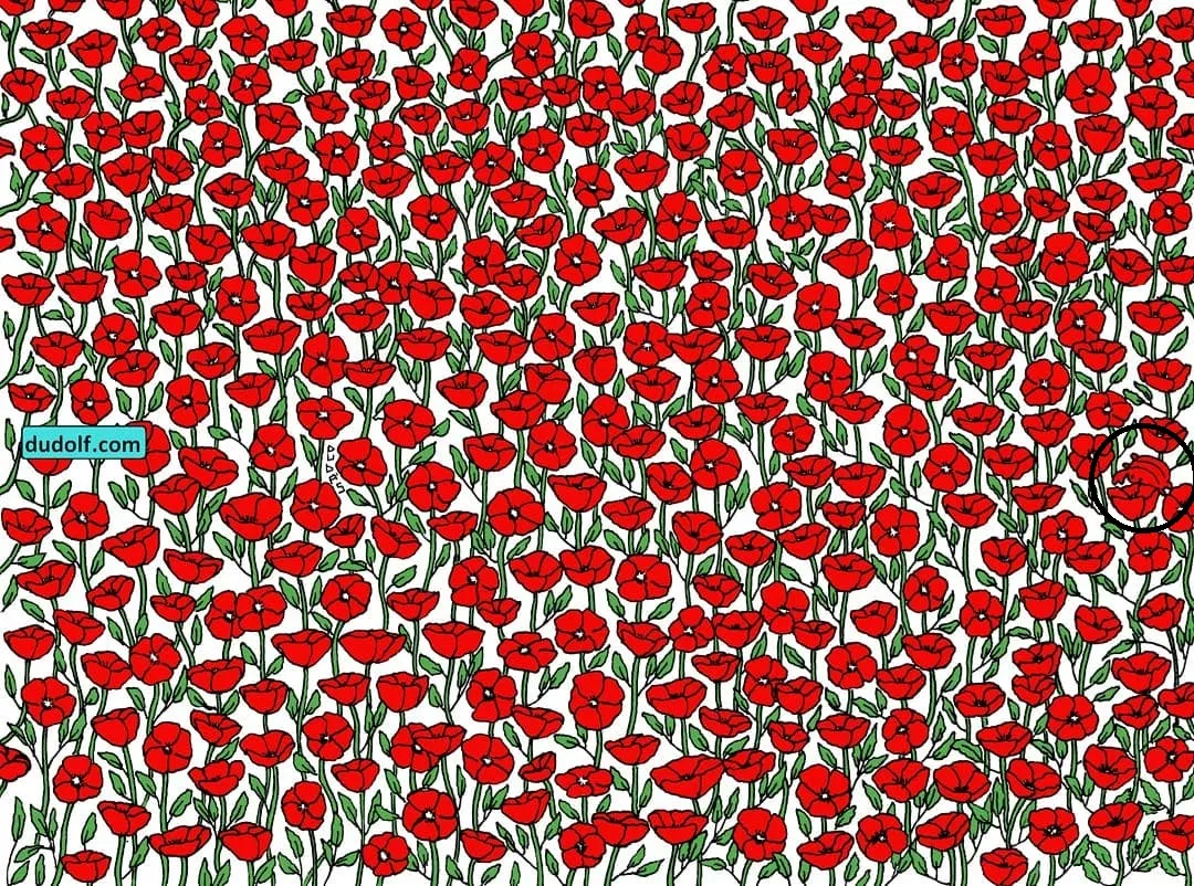 Pic Credit: Instagram/thedudolf